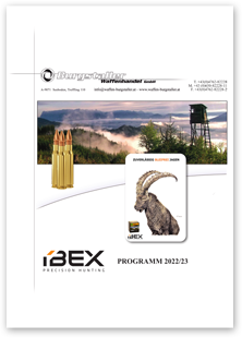 IBEX Programm
