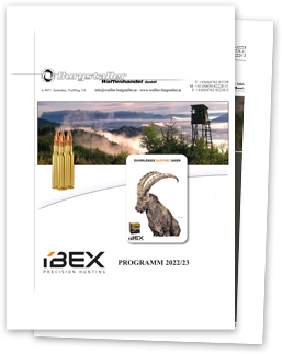 IBEX Programm